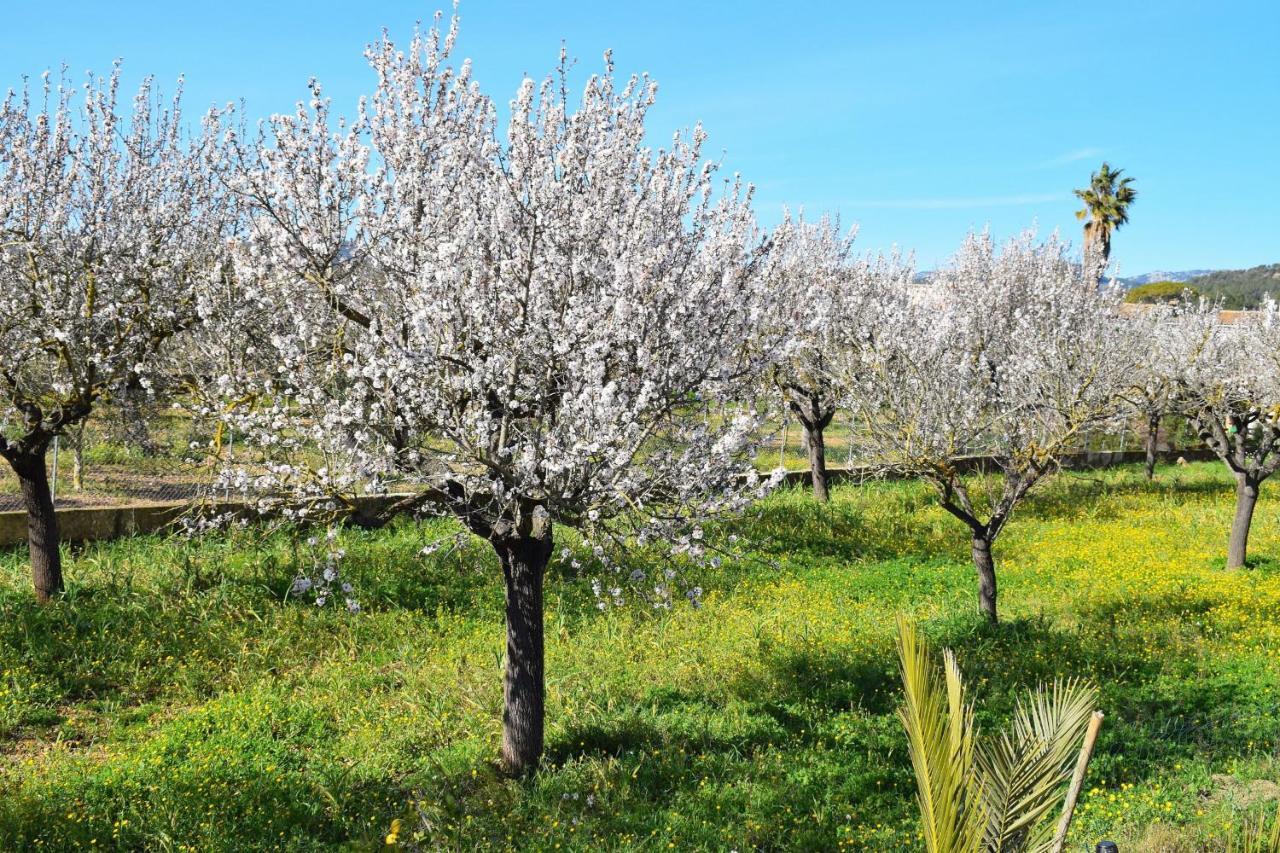 504 Finca Sa Vinyeta Etv4266 By Mallorca Charme Ferienhaus *